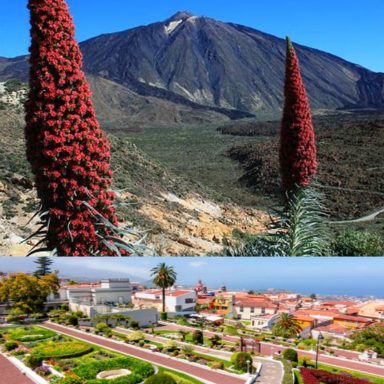 Teide & Orotava Teide & Orotava