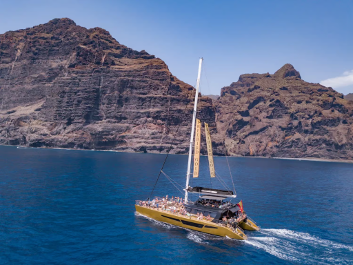 Catamarán Vip Catamarán Vip